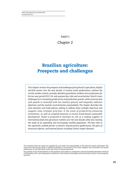 Brazilian Agriculture: Prospects and Challenges