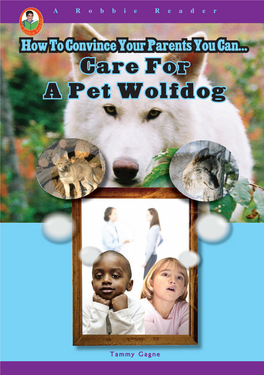 Care for a Pet Wolfdog Care for a Pet Wolfdog Pet a for Care