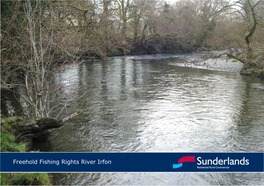 Freehold Fishing Rights River Irfon Situation: Cildu Fishery