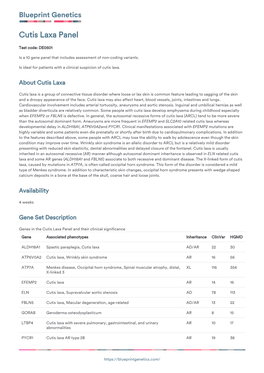 Blueprint Genetics Cutis Laxa Panel