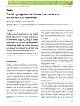 The Nitrogen–Potassium Intersection: Membranes, Metabolism, and Mechanism