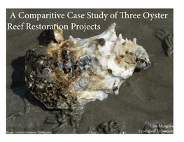 A Comparitive Case Study of Three Oyster Reef Restoration Projects