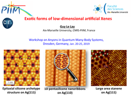 Exo%C Forms of Low-Dimensional Ar%Ficial Xenes