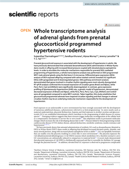 Whole Transcriptome Analysis of Adrenal Glands from Prenatal