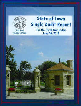 2018 Single Audit