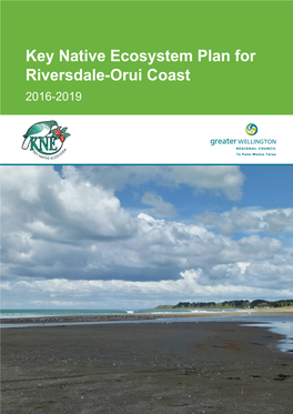 Key Native Ecosystem Plan for Riversdale-Orui Coast 2016-2019