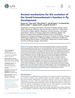 Ancient Mechanisms for the Evolution of the Bicoid Homeodomain's