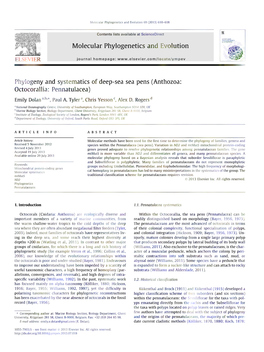 Phylogeny and Systematics of Deep-Sea Sea Pens (Anthozoa: Octocorallia: Pennatulacea)