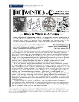 Black & White in America: Collected Commentary on Race in the 1920S