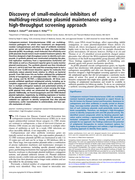 Discovery of Small-Molecule Inhibitors of Multidrug-Resistance Plasmid Maintenance Using a High-Throughput Screening Approach