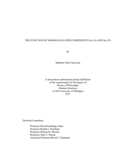 THE FUNCTION of MAMMALIAN COPII COMPONENTS Sec23a and Sec23b by Matthew Paul Vasievich a Dissertation Submitted in Partial Fulfi