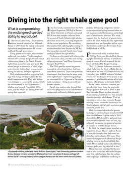 Diving Into the Right Whale Gene Pool