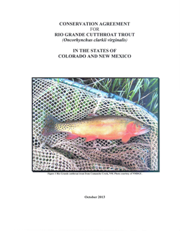 CONSERVATION AGREEMENT for RIO GRANDE CUTTHROAT TROUT (Oncorhynchus Clarkii Virginalis)