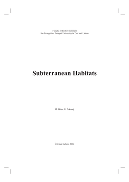 Subterranean Habitats