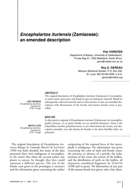 Encephalartos Ituriensis (Zamiaceae): an Emended Description