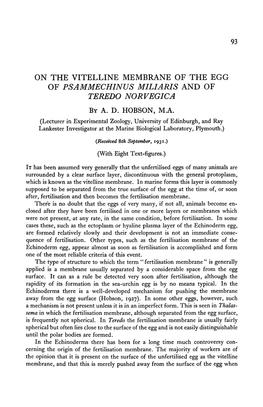 On the Vitelline Membrane of the Egg of Psammechinus Miliaris and of Teredo Norvegica by A