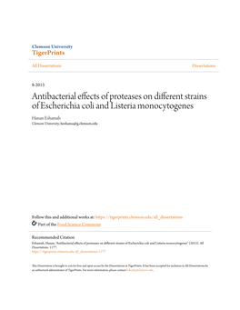 Antibacterial Effects of Proteases on Different Strains of Escherichia Coli and Listeria Monocytogenes Hanan Eshamah Clemson University, Heshama@G.Clemson.Edu