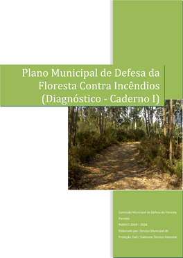 Plano Municipal De Defesa Da Floresta Contra Incêndios (Diagnóstico - Caderno I)