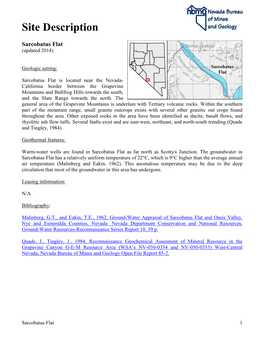 Sarcobatus Flat (Updated 2014)