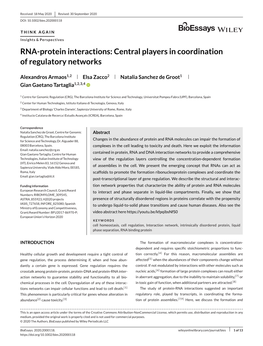 RNA‐Protein Interactions