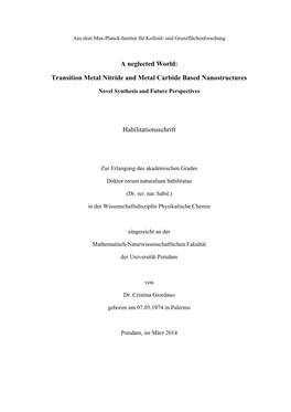 Transition Metal Nitride and Metal Carbide Based Nanostructures