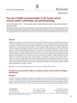 The Role of GABA Neurotransmitter in the Human Central Nervous System, Physiology, and Pathophysiology