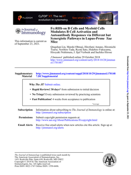 Fcγriib on B Cells and Myeloid Cells Modulates B Cell Activation And