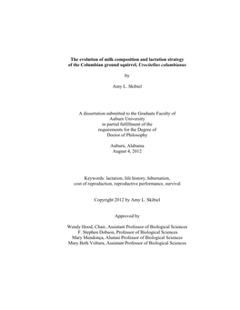 Skibiel-Final Dissertation.Pdf