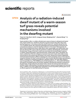 Analysis of a Radiation-Induced Dwarf Mutant of a Warm-Season Turf Grass