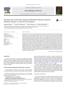 The Janus Face of the Heme Oxygenase/Biliverdin Reductase System in Alzheimer Disease: It's Time for Reconciliation