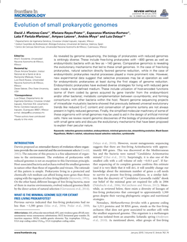 Evolution of Small Prokaryotic Genomes