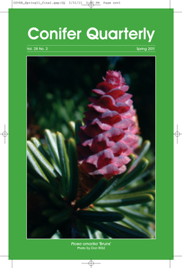 Conifer Quarterly