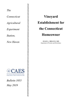 Vineyard Establishment for the Connecticut Homeowner