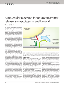 A Molecular Machine for Neurotransmitter Release: Synaptotagmin and Beyond