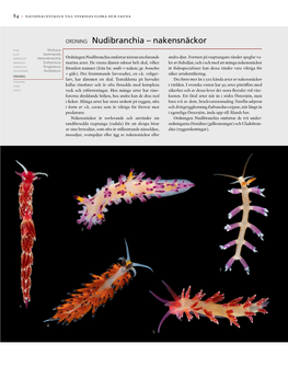 Ordning Nudibranchia Nakensnäckor