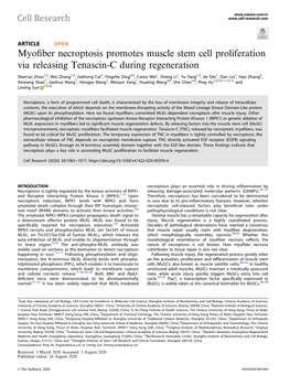 Myofiber Necroptosis Promotes Muscle Stem Cell Proliferation Via Releasing