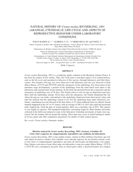 Araneae, Ctenidae) Ii: Life Cycle and Aspects of Reproductive Behavior Under Laboratory Conditions