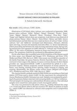 Celery Mosaic Virus Occurring in Poland