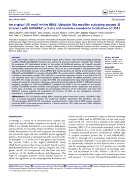 An Atypical LIR Motif Within UBA5 (Ubiquitin Like Modifier Activating Enzyme 5) Interacts with GABARAP Proteins and Mediates