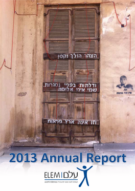 2013 Annual Report