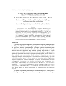 Developmental Stages of a Common Grass Yellow Butterfly, Eurema Hecabe