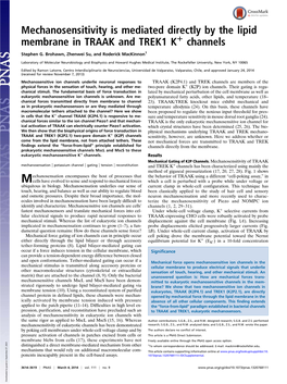 Mechanosensitivity Is Mediated Directly by the Lipid Membrane in TRAAK and TREK1 K+ Channels