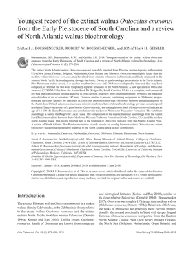 Youngest Record of the Extinct Walrus Ontocetus Emmonsi from the Early Pleistocene of South Carolina and a Review of North Atlantic Walrus Biochronology