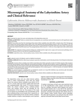 Microsurgical Anatomy of the Labyrinthine Artery