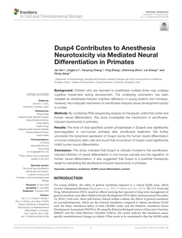 Dusp4 Contributes to Anesthesia Neurotoxicity Via Mediated Neural Differentiation in Primates