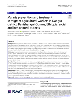 Malaria Prevention and Treatment in Migrant