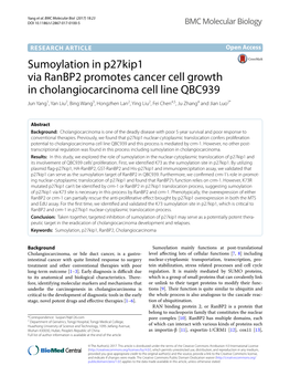 Sumoylation in P27kip1 Via Ranbp2 Promotes Cancer Cell Growth In