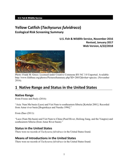 Tachysurus Fulvidraco) Ecological Risk Screening Summary