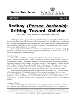 Redbay (Persea Borbonia): Drifting Toward Oblivion by Dr