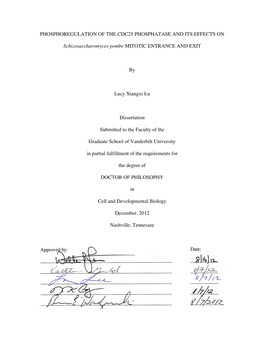 Phosphoregulation of the Cdc25 Phosphatase and Its Effects On